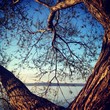 Heart of Nature Heart of Nature