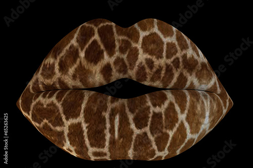Illustration: Giraffe II Kiss Giraffe II Kiss