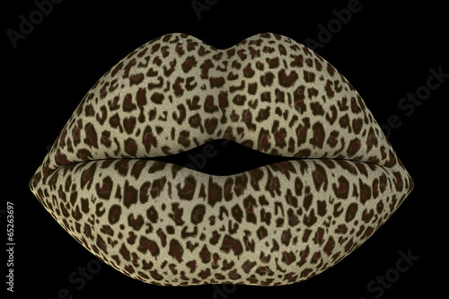 Illustration: Cheetah Kiss Cheetah Kiss