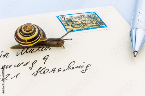 Photo: Schnecke auf Briefumschlag Schnecke auf Briefumschlag