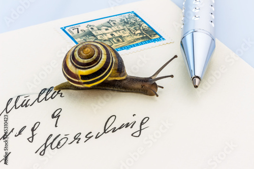 Photo: Schnecke auf Briefumschlag Schnecke auf Briefumschlag