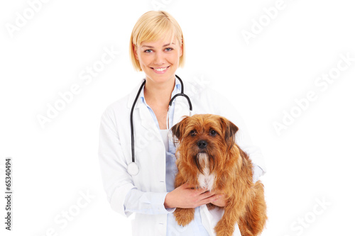 Photo: Happy vet with a terrier Happy vet with a terrier