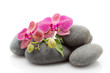 Spa stones Spa stones
