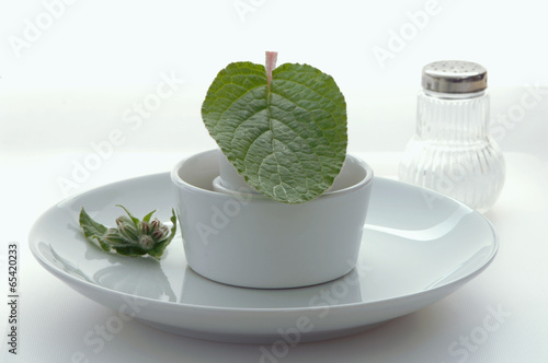Photo: Borretsch Blatt auf Tasse Borretsch Blatt auf Tasse