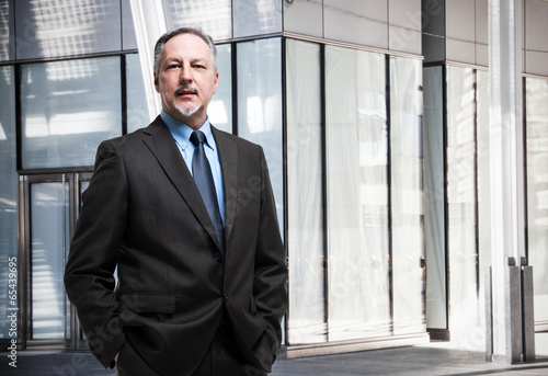 Photo: Senior businessman portrait Senior businessman portrait