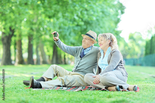 Photo: Mature couple taking selfie on a picnic in park Mature couple taking selfie on a picnic in park