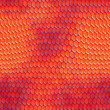 Snake skin Snake skin