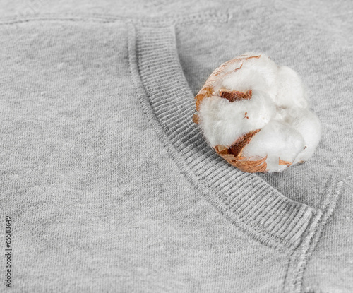 Photo: Cotton buds branch. Cotton buds branch.