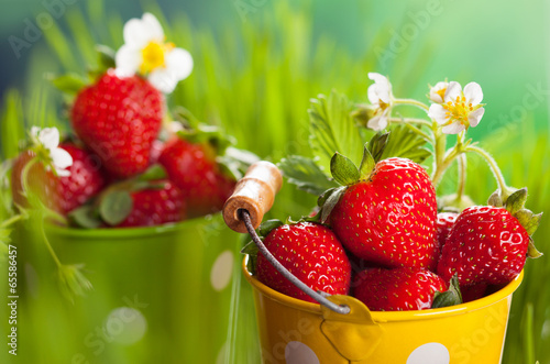 Photo: Fresh strawberries Fresh strawberries