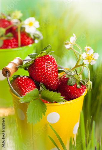 Photo: Fresh strawberries Fresh strawberries