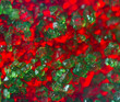 Green crystals on a red background. Extreme closeup. Macro Green crystals on a red background. Extreme closeup. Macro