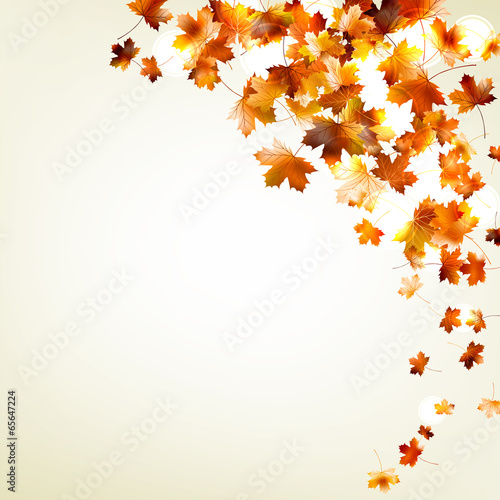 Vector: Autumn falling leaves. EPS 10 Autumn falling leaves. EPS 10