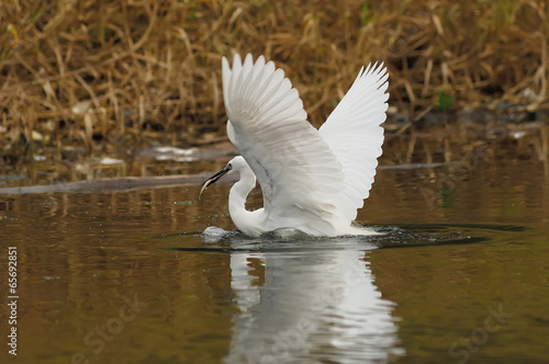 Photo: on a lagoon on a lagoon