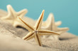 Starfishes in sand beach Starfishes in sand beach