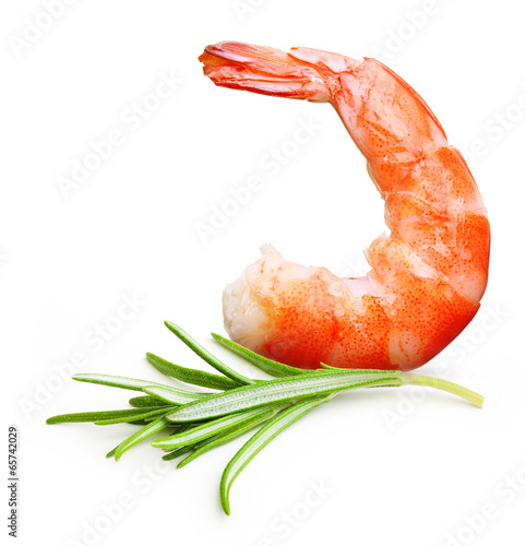 Photo: Cooked shrimp isolated . Cooked shrimp isolated .