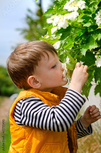 Photo: Cute young boy smelling spring blossom Cute young boy smelling spring blossom