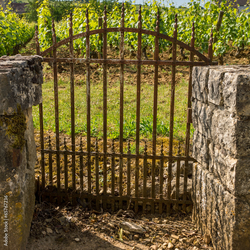 Photo: clos bourguignon clos bourguignon