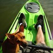 kayaking pup kayaking pup