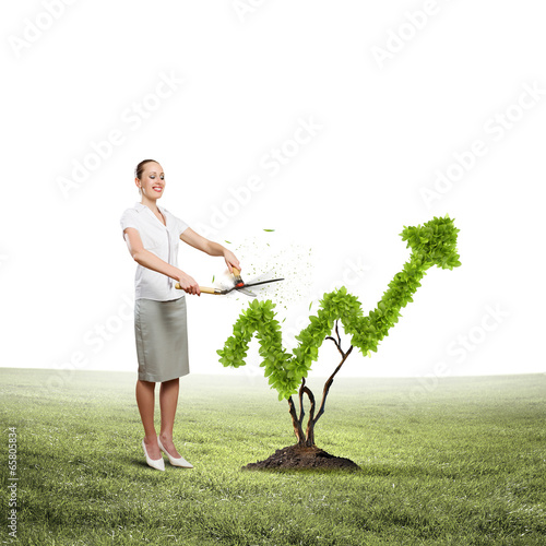 Photo: Income concept Income concept