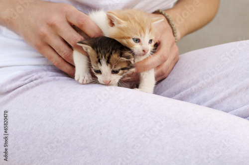 Photo: Girl holding kittens Girl holding kittens