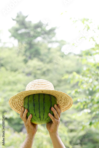 Photo: 帽子をかぶった西瓜 帽子をかぶった西瓜
