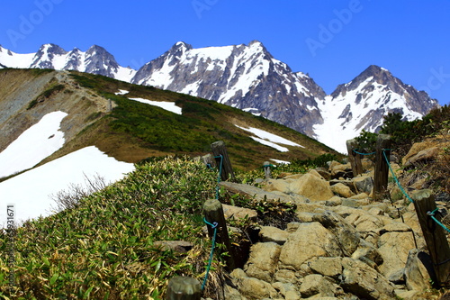 Photo: 雄大な雪山へと続く登山道 雄大な雪山へと続く登山道