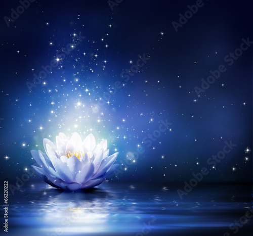 Photo: magic flower on water - blue magic flower on water - blue