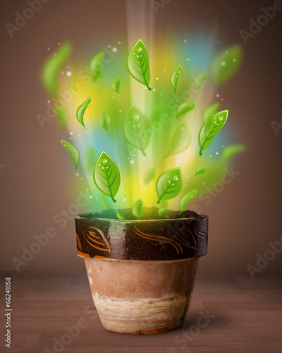 Photo: Glowing leaves coming out of flowerpot Glowing leaves coming out of flowerpot