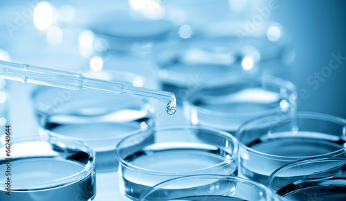 Photo: Cell Culture Plate in bio laboratory Cell Culture Plate in bio laboratory