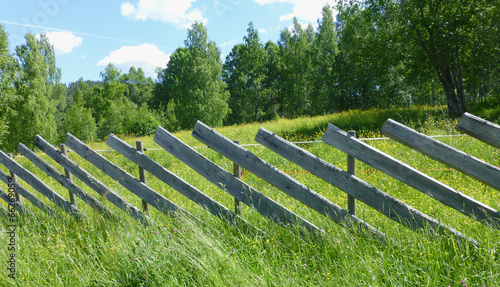 Photo: Fence Fence