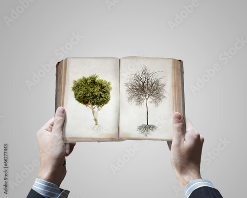 Photo: Opened book Opened book