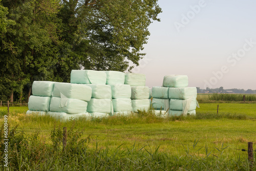 Photo: Piled bales harvested dry grass wrapped in plastic film Piled bales harvested dry grass wrapped in plastic film