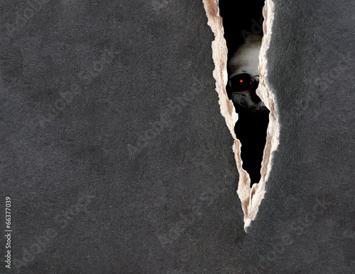 Photo: Human skull and paper texture Human skull and paper texture