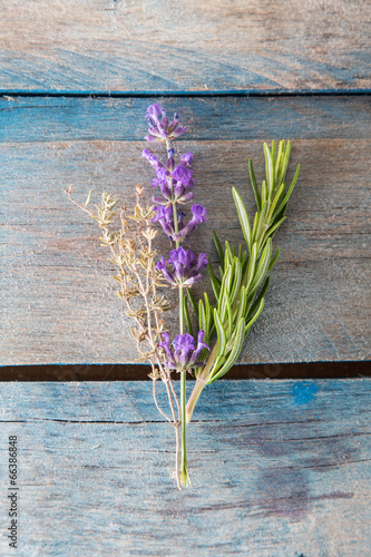 Photo: thyme, lavender and rosemary thyme, lavender and rosemary
