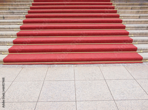 Photo: Red carpet Red carpet