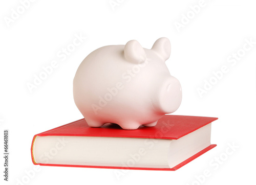 Photo: Piggy bank on a book Piggy bank on a book
