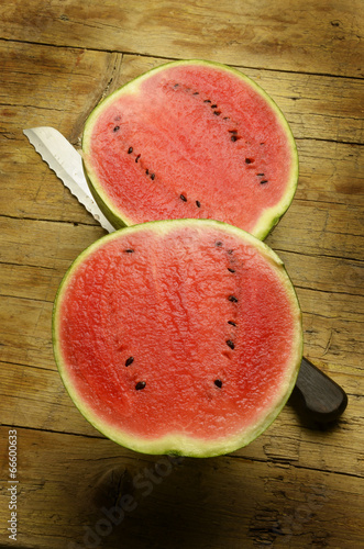Photo: Citrullus lanatus Anguria Wassermelone Melancia Arbuz zwyczajny Citrullus lanatus Anguria Wassermelone Melancia Arbuz zwyczajny