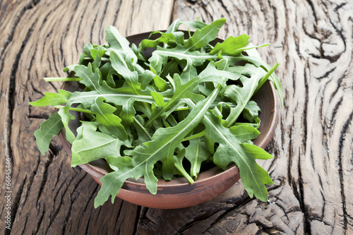 Photo: Arugula herb. Arugula herb.