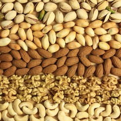 Nut varieties