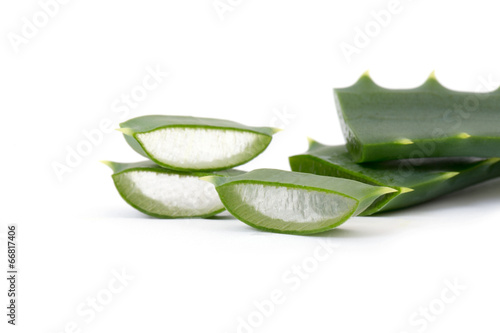 Photo: aloe vera fresh leaf. isolated over white aloe vera fresh leaf. isolated over white