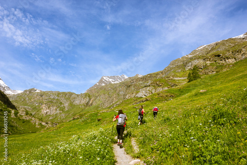 Photo: Amici fanno trekking in montagna Amici fanno trekking in montagna