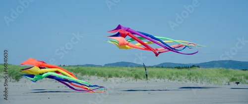 Photo: Two giant kites landing at Long Beach, WA Two giant kites landing at Long Beach, WA