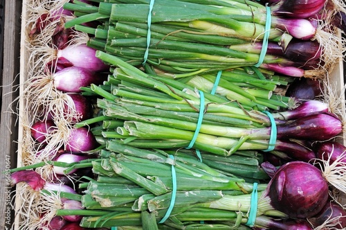 Photo: Bunches of red onions © Arena Photo UK Bunches of red onions © Arena Photo UK
