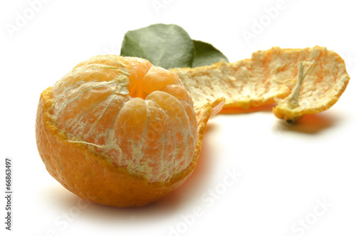 Photo: Klementin Clementina Clementine Клементин كليمونتين Klementin Clementina Clementine Клементин كليمونتين