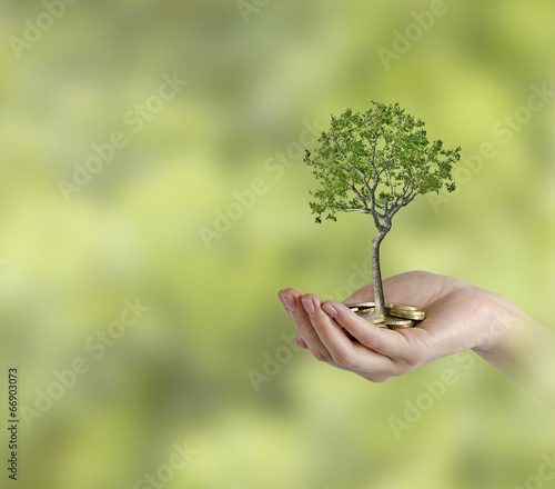 Photo: Investing to green business Investing to green business