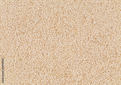 Photo: Close up of sesame seeds. Close up of sesame seeds.