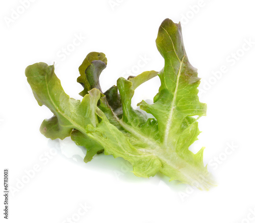 Photo: fresh red lettuce leaves isolated on white fresh red lettuce leaves isolated on white