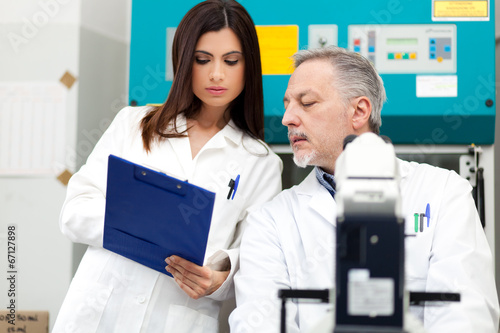 Photo: Scientists at work in a laboratory Scientists at work in a laboratory