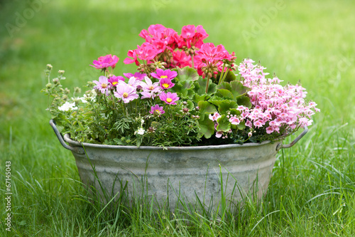 Photo: Blechwanne mit Blumen Blechwanne mit Blumen