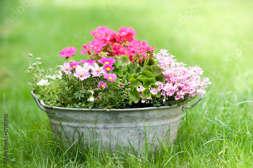 Photo: Blechwanne mit Blumen Blechwanne mit Blumen